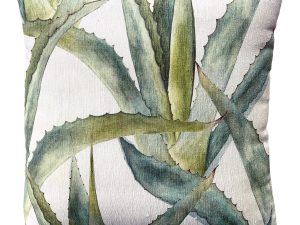 Agaves