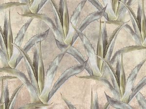 Agave