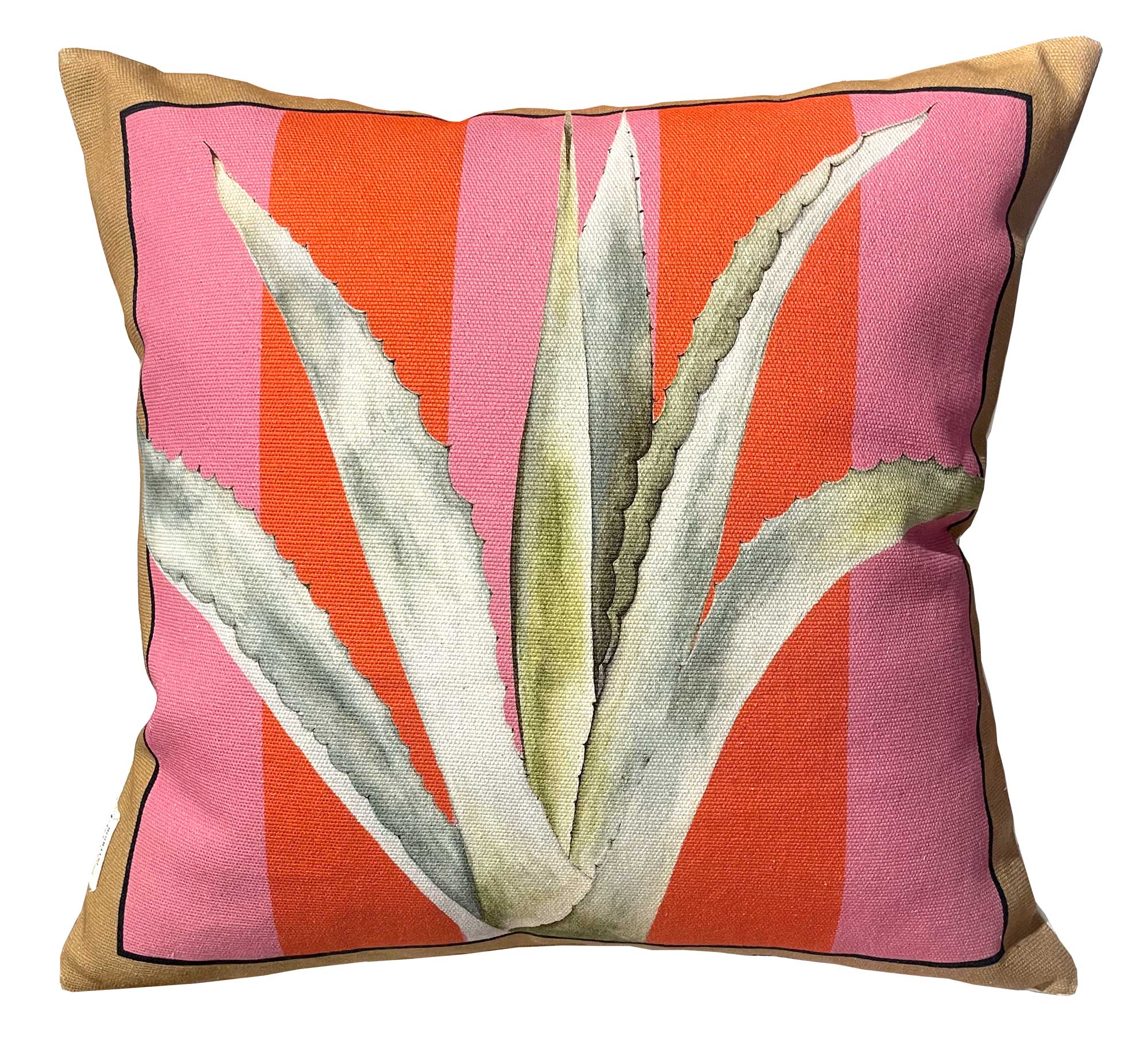 The Agave rosa