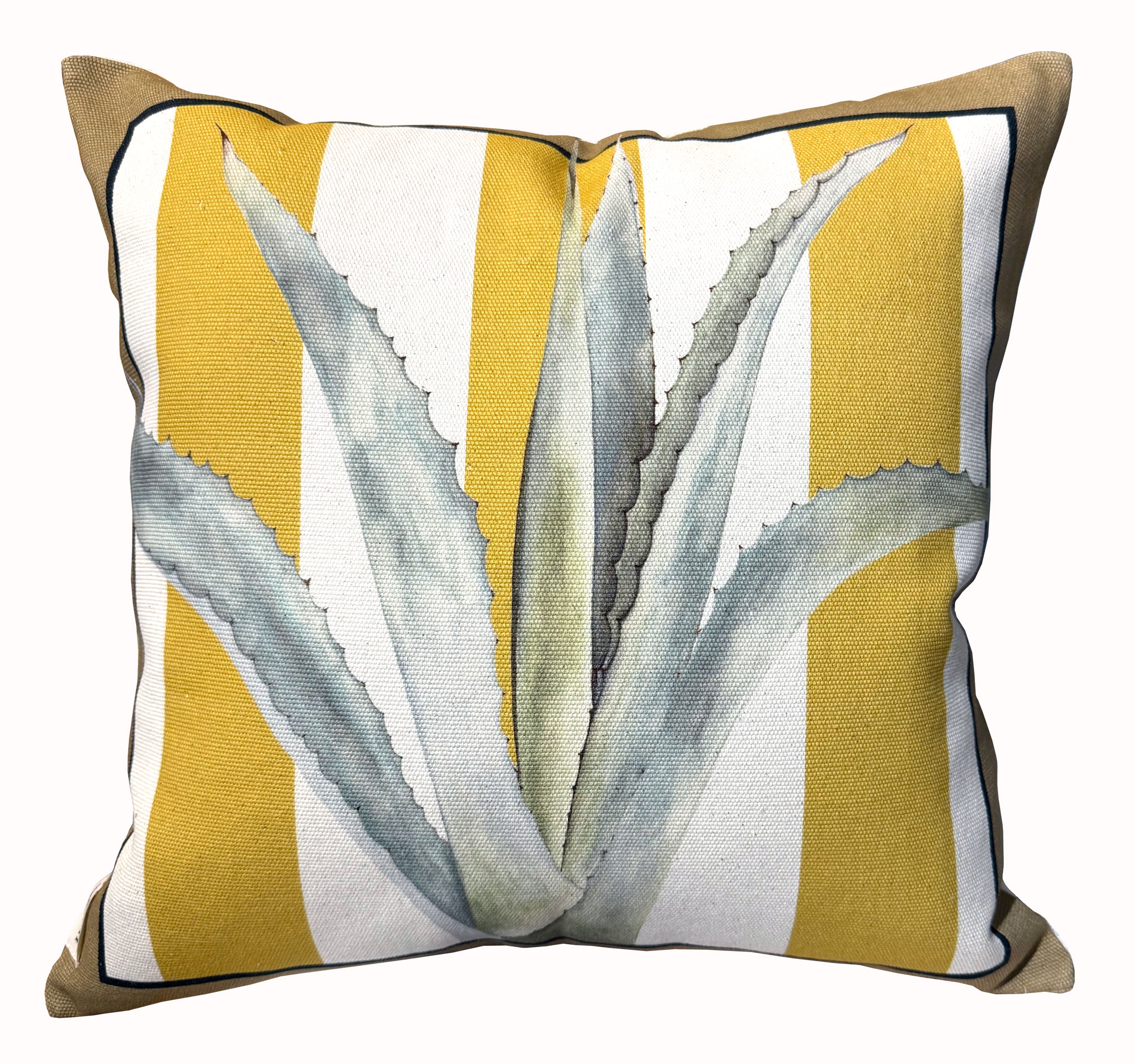 The Agave senape